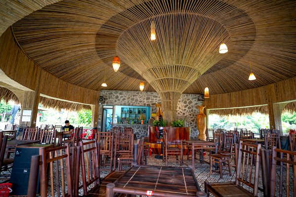 Comment développer une carte de boissons à base de plantes médicinales dans un café de bien-être ?